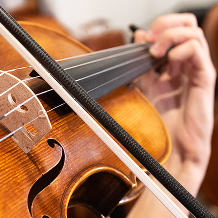 A Guide to Buying a Fine Violin, Viola or Cello